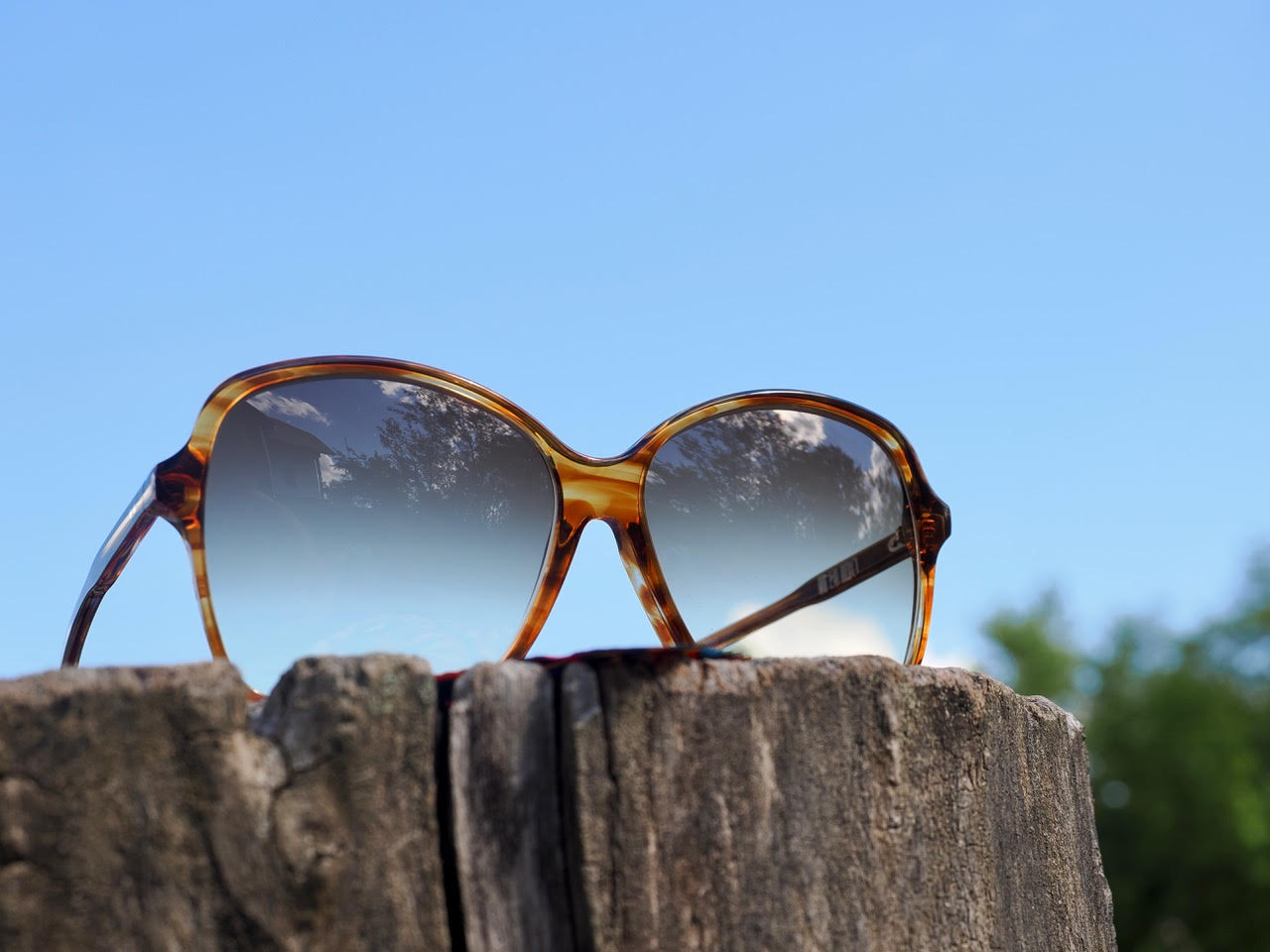 Polarized Posh